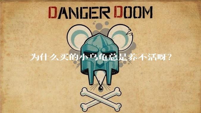 为什么买的小乌龟总是养不活呀？