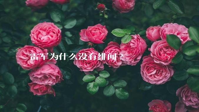 雷军为什么没有绯闻?