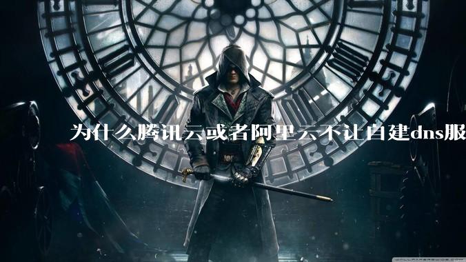 为什么腾讯云或者阿里云不让自建dns服务器?