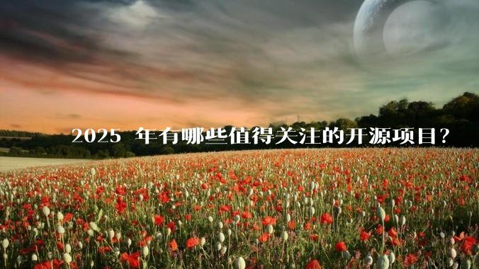 2025 年有哪些值得关注的开源项目？