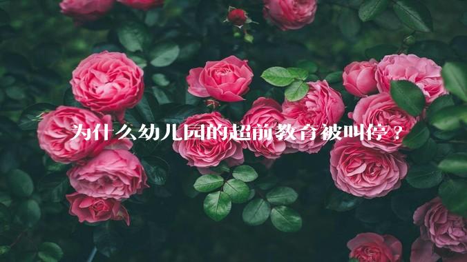 为什么幼儿园的超前教育被叫停?