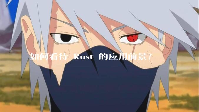 如何看待 Rust 的应用前景？