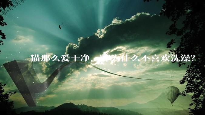 猫那么爱干净，却为什么不喜欢洗澡？