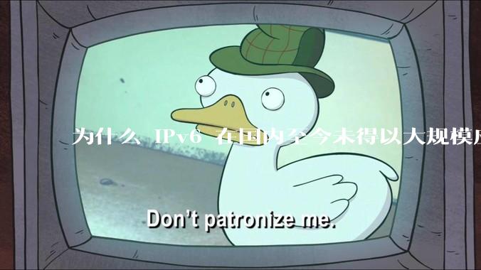 为什么 IPv6 在国内至今未得以大规模应用?