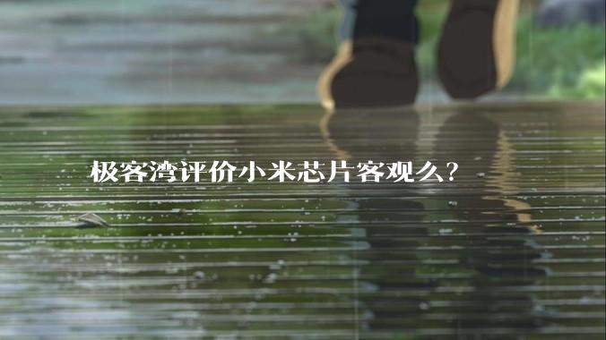 极客湾评价小米芯片客观么？