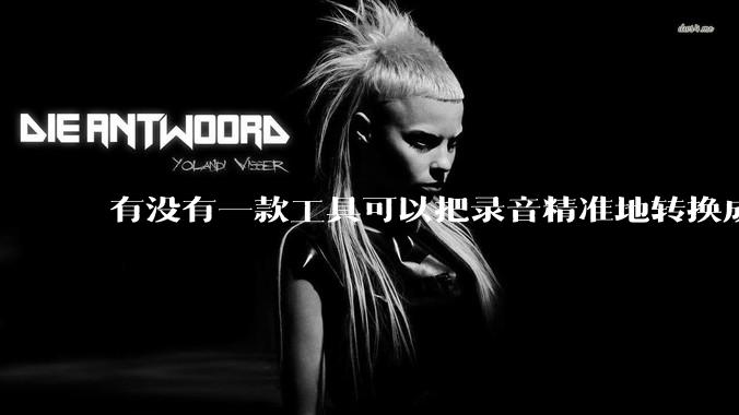 有没有一款工具可以把录音精准地转换成文字？