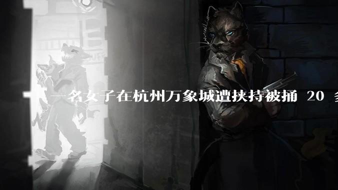 一名女子在杭州万象城遭挟持被捅 20 多刀，隆胸***体救了一命，这反映出哪些公安系统的问题？