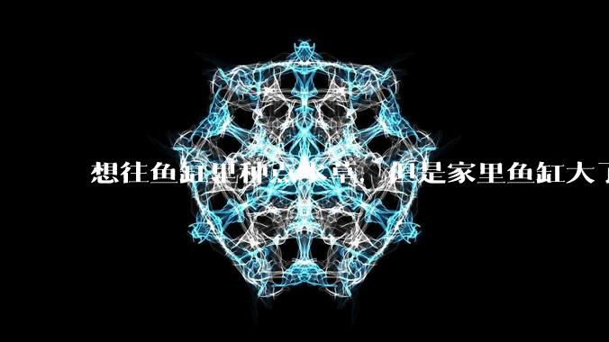 想往鱼缸里种点水草，但是家里鱼缸大了买水草泥或者底砂太贵了，有没有生活中可以替代的物品或其他建议？